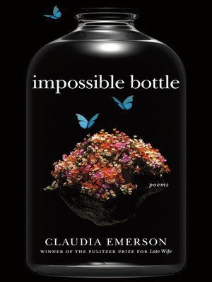 cover image of Impossible Bottle